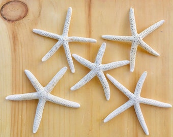 Pencil Starfish-Imperfect-2-7" Starfish-Starfish Bulk-Pencil White Starfish-Finger Starfish-White Starfish-Crafting Supplies-Starfish