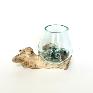 Molten Glass on Driftwood Base-Air Plant Terrarium-Fish Bowl-Eco Planter-Hand Blown Terrarium Glass-Driftwood Decor-Unique Gifts