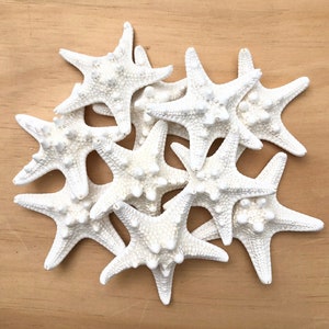 Knobby Starfish 1-2" Beach Wedding Decor Knobby Starfish Bulk Beach Wedding Favors-White Knobby Starfish White Starfish Beach Home Decor