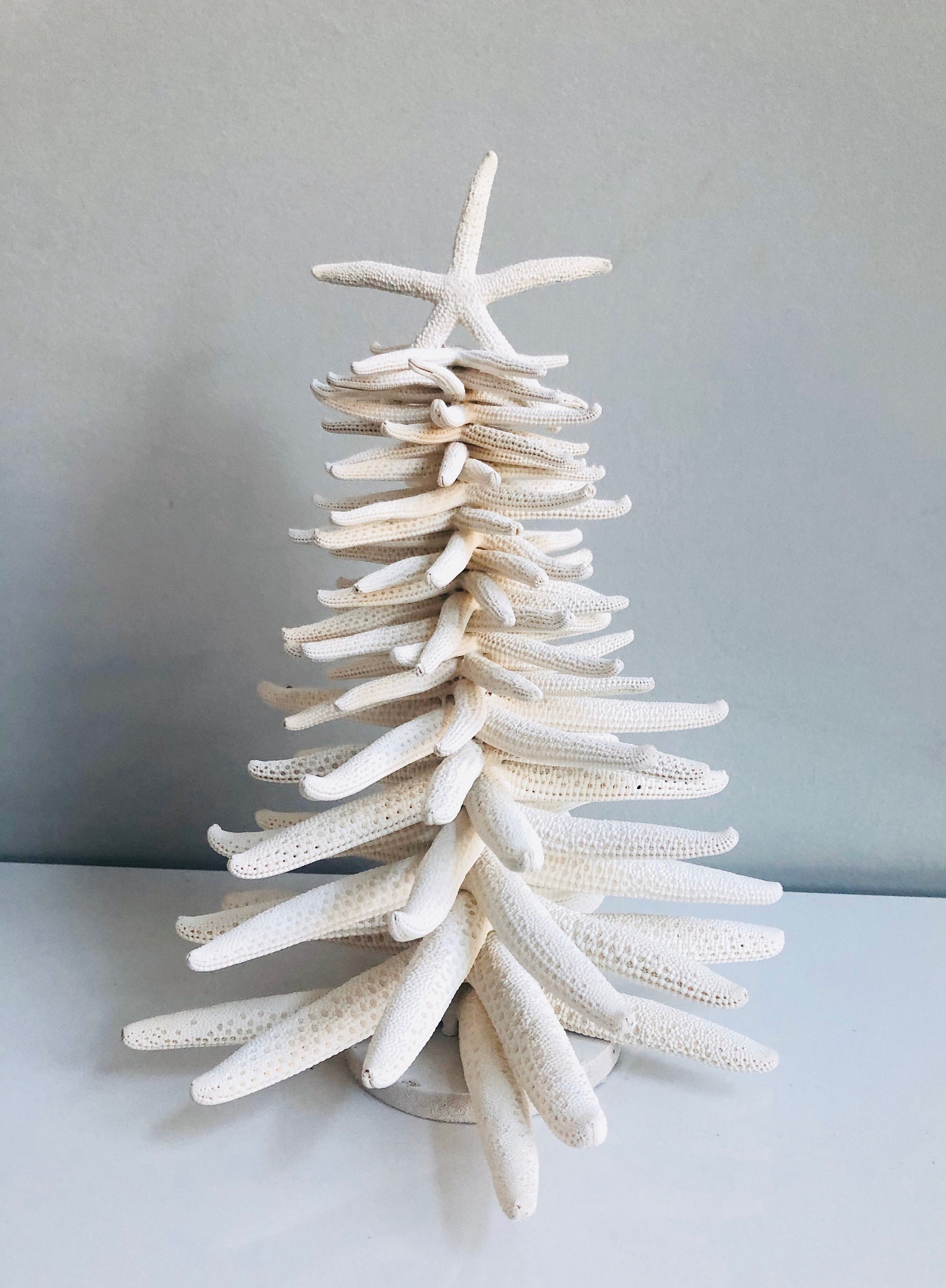 Starfish Christmas Treechristmas Treewhite Christmas Etsy
