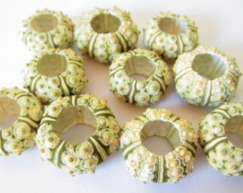 Green Knobby Sea Urchin - Approximately 0.75-1.5"-Beach Wedding Favors-Sea Urchin-Beach Decor-Seashell Bulk-Seashell Crafts-Urchin