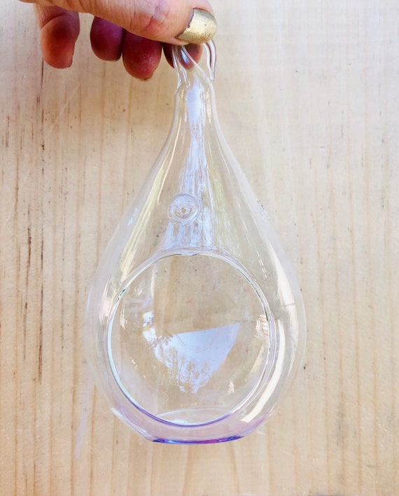 Hanging Glass Air Plant Globe: DIY Terrarium Container