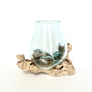 Molten Glass on Driftwood Base-Air Plant Terrarium-Fish Bowl-Eco Planter-Hand Blown Terrarium Glass-Driftwood Decor-Unique Gifts
