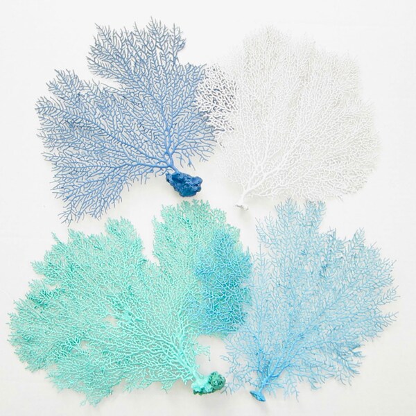 View of Blue Sea Fan - Etsy