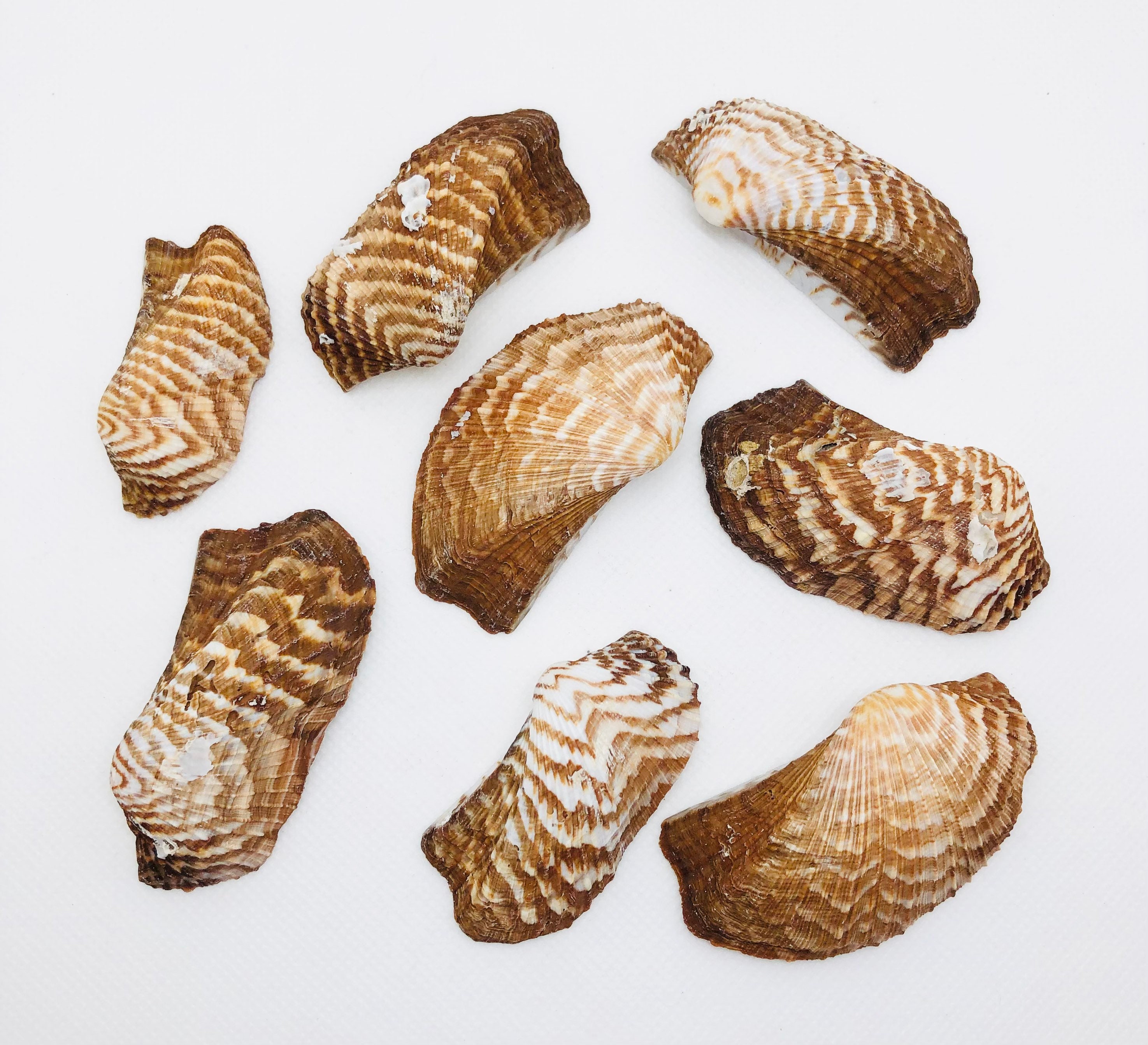 il_fullxfull.4248248945_gdu5.jpg il_fullxfull.4248248945_gdu5.jpg