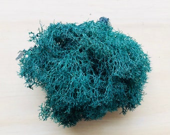 Lime Green Preserved Reindeer Moss: Terrarium Supplies (2 oz)