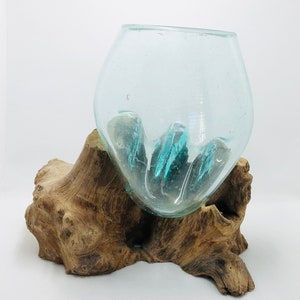 Molten Glass on Driftwood Base-Air Plant Terrarium-Fish Bowl-Eco Planter-Hand Blown Terrarium Glass-Driftwood Decor-Unique Gifts