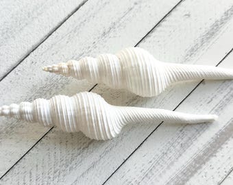 Spindle White Seashell: 4-6" Beach Wedding Decor