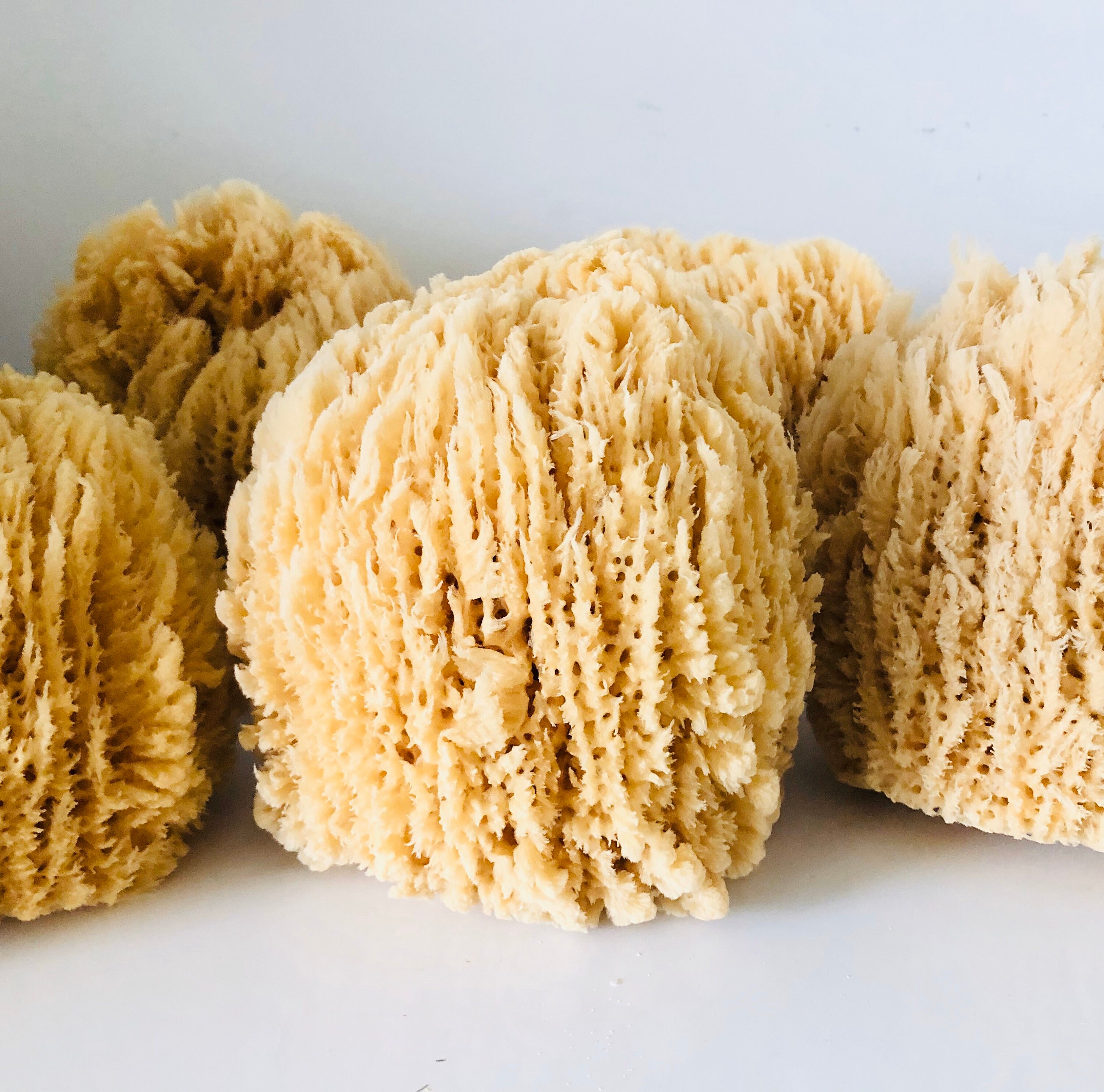 real sponge for bath