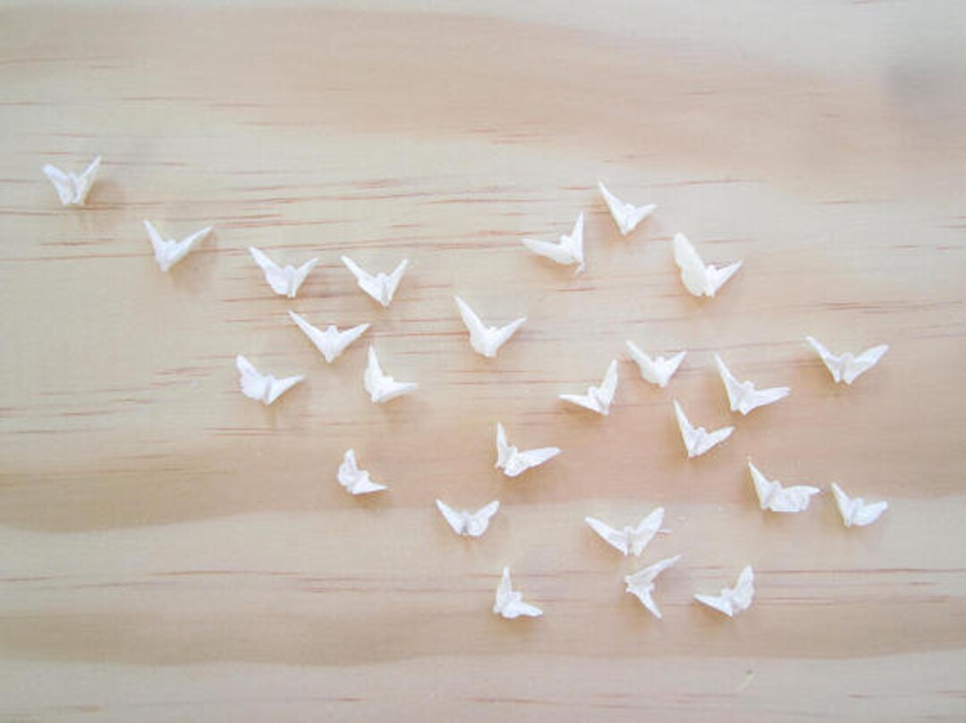 Sand Dollar Dovessand Dollarsbeach Wedding Decorbeach Home Decor