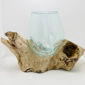 Molten Glass on Driftwood Base-Air Plant Terrarium-Fish Bowl-Eco Planter-Hand Blown Terrarium Glass-Driftwood Decor-Unique Gifts image 3