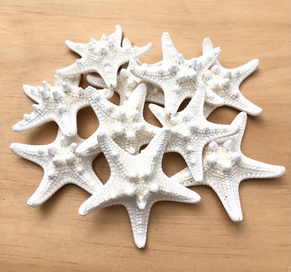 Knobby Starfish in 4-5bulk Starfish-beach Wedding-nautical Decor