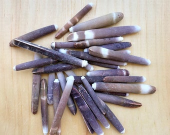Sea Urchin Spines (2-3"), Bulk Beach Sea Life Supplies