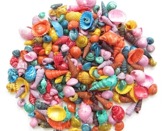 Dyed Craft Shell Mix-1/2-1"-India Shell Mix-Crafting Shells-Seashells-Colored Seashells-Terrarium Shells-Small Shell Mix-Seashells Bulk