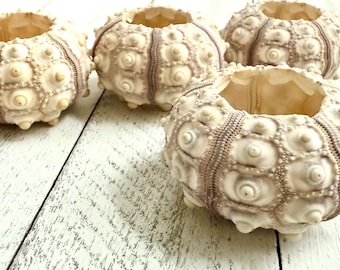 Sputnik Sea Urchin (2-2.5") - Beach Wedding, Nautical Home Decor