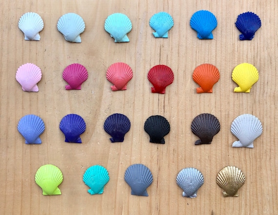 Pink Umbonium Seashells-Small Sea Shells Supplies-Botton Top Shells-Shell  Vase Fillers-Crafting Shells-Pink Sea Shells