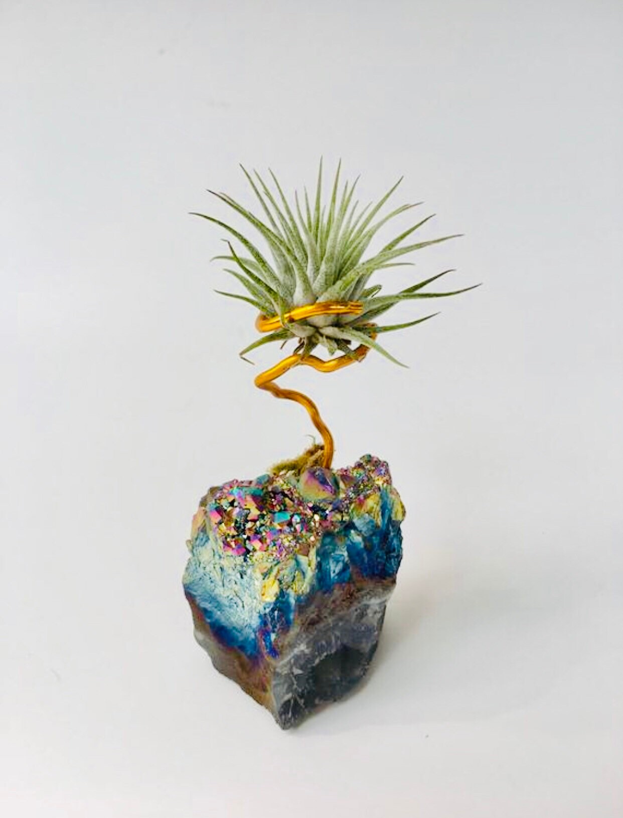Aura Amethyst Air Plant Air Plant Amethyst-Amethyst Cluster Birthday …