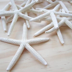 White Finger/Pencil Starfish in Size 4-5Craft Supplies-Wedding Favor-Nautical/Beach Decor-Beach Wedding Decor-White Starfish-Starfish image 3