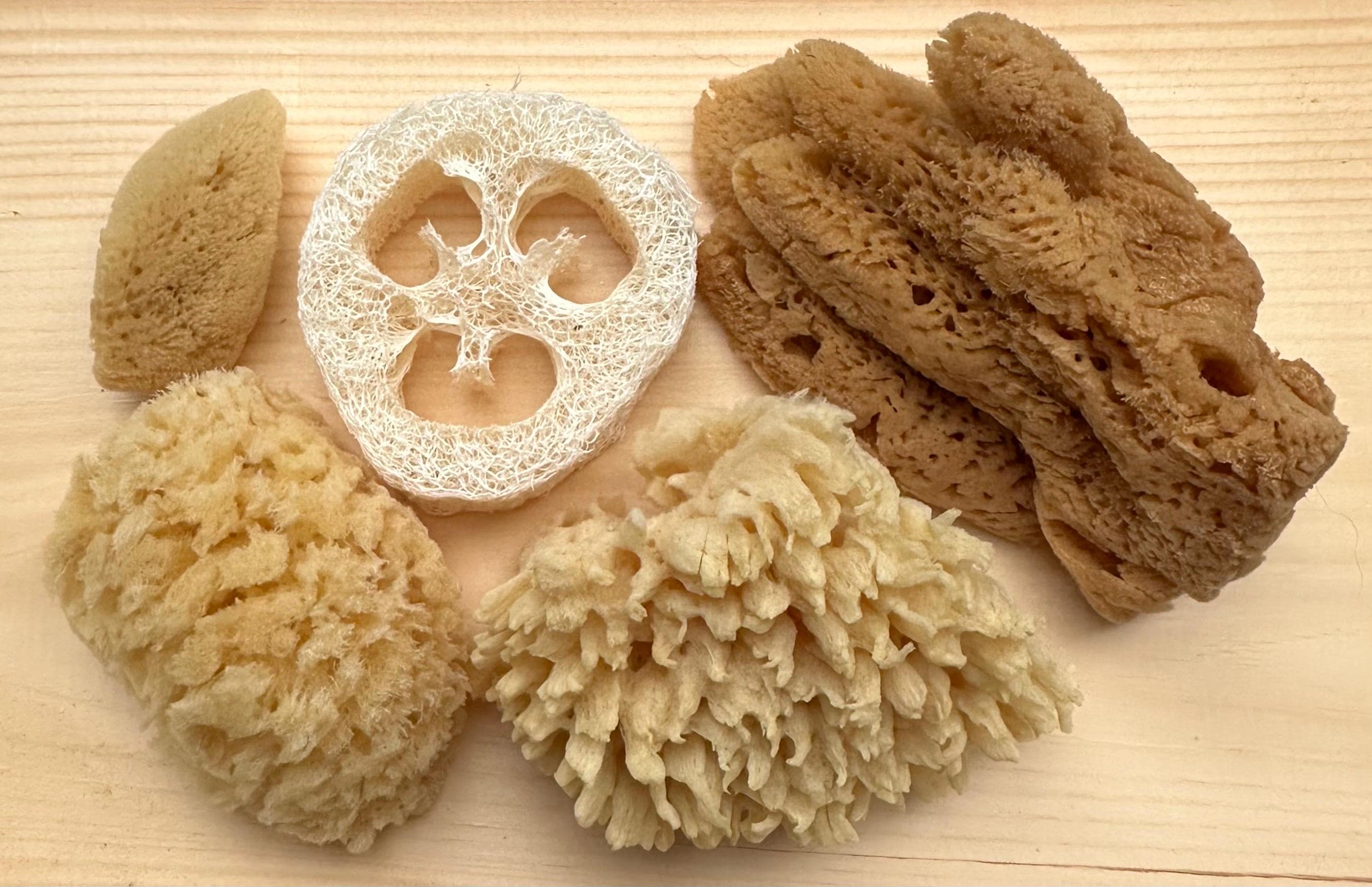 Natural Sea Sponges: Silk Bath Cut Sponges, Loofa Sponge Set