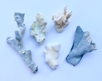 Real Coral Pieces: Assorted White Coral, Beach Wedding Decor