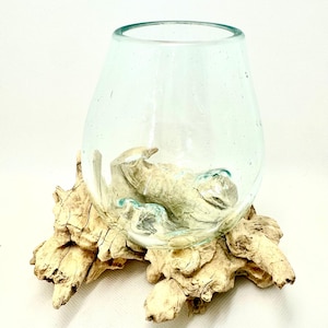 Molten Glass on Driftwood Base-Air Plant Terrarium-Fish Bowl-Eco Planter-Hand Blown Terrarium Glass-Driftwood Decor-Unique Gifts