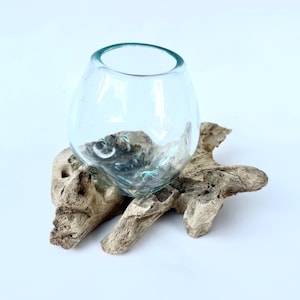 Molten Glass on Driftwood Base-Air Plant Terrarium-Fish Bowl-Eco Planter-Hand Blown Terrarium Glass-Driftwood Decor-Unique Gifts