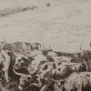May include: A black and white drawing of a herd of cattle being driven by a cowboy on horseback. The cattle are in a line, with their horns visible. The cowboy is in the distance, and the background is a field.