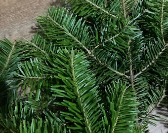 Fresh Balsam Fir Tips