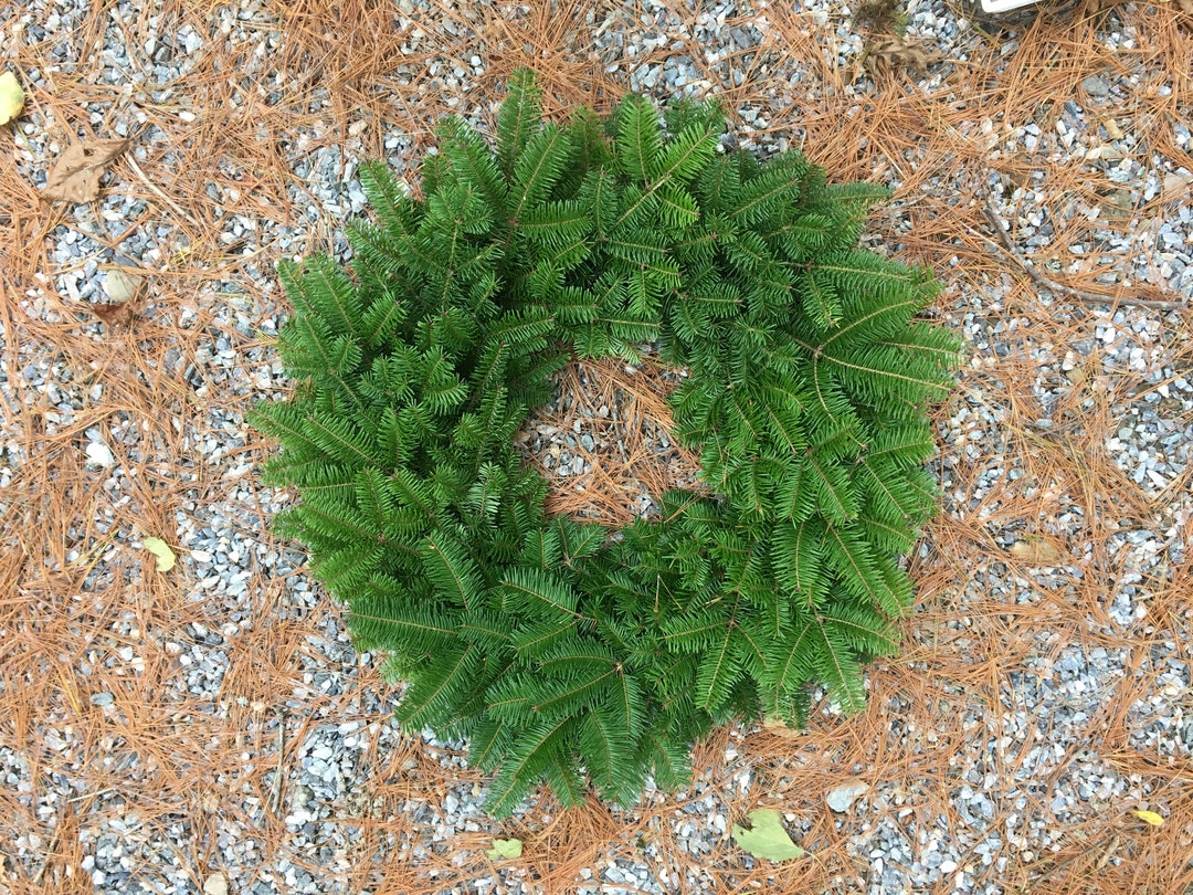 18 Christmas Wreaths Set of Eight Undecorated Single Side Fresh Maine