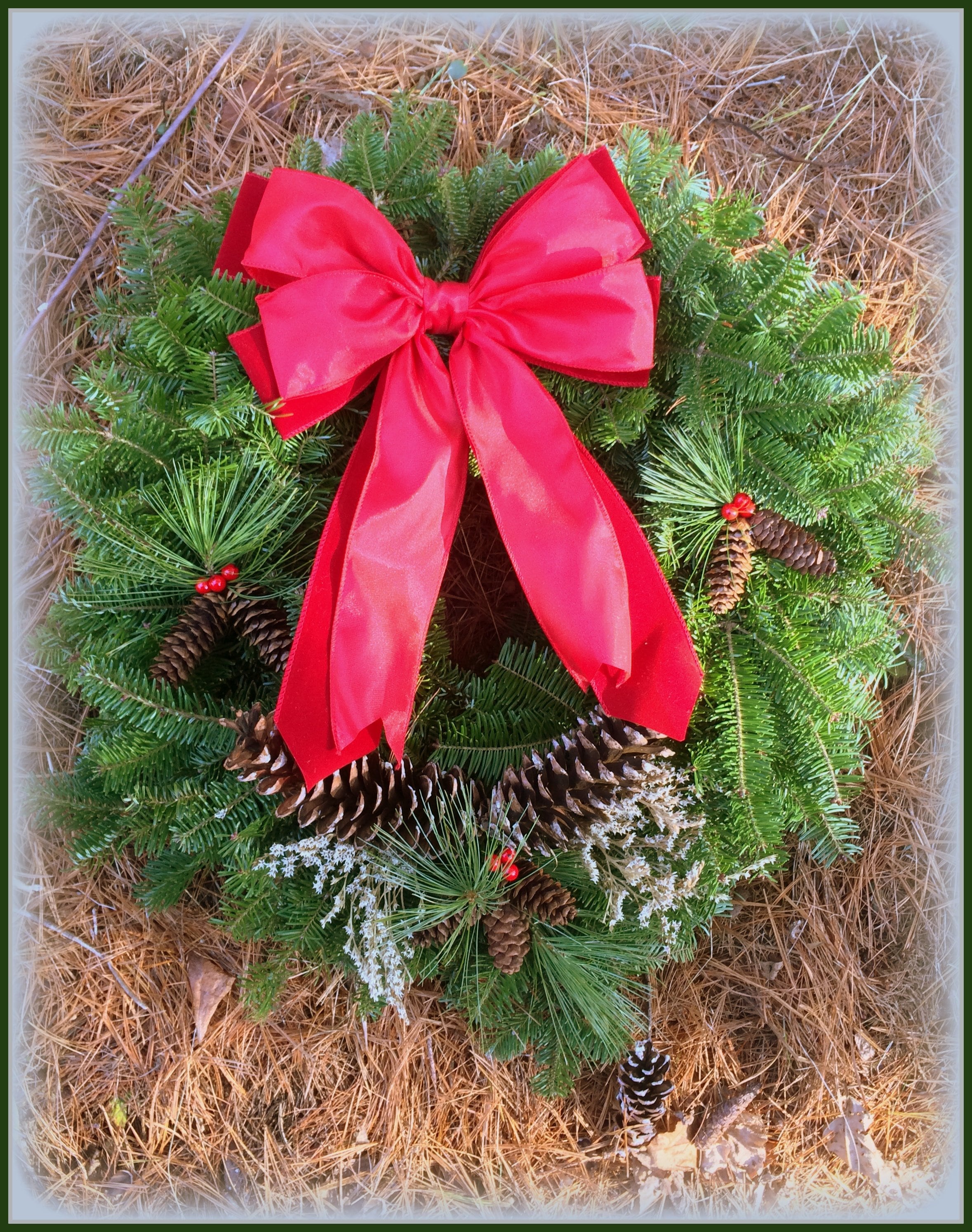 Home For The Holidays Balsam Fir Wreath Maine Made Fresh & Etsy