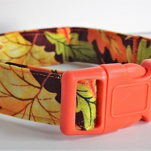 Fall Dog Collar - Fabric Dog Collar with Autumn Leaves - Small or Large Dog Collar - Red, Yellow, Orange Dog Collar