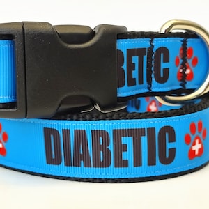 Diabetic Dog Collar & (optional) Leash - Small or Large Special Needs Dog Collar -  Black and Blue Dog Collar