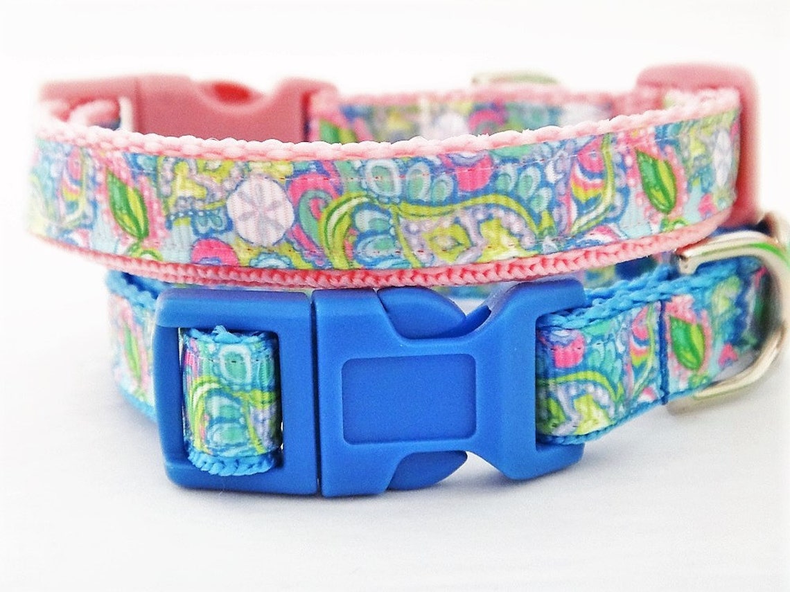 Puppy Dog Collar Small Dog Collar Boy or Girl Dog Collar Etsy