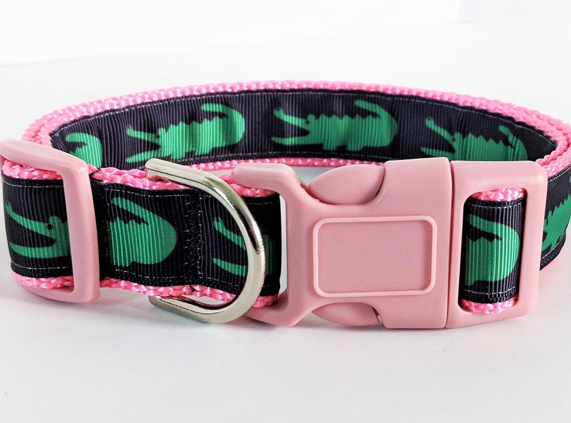 Dog Collar and optional Leash Set Girl or Boy Dog Collar Etsy