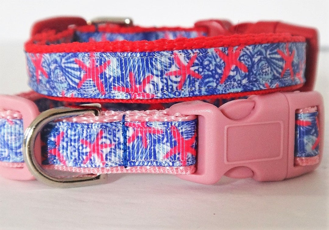 Small Dog Collar Puppy Dog Collar boy or Girl Dog Collar Sea Creature