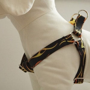 Dog Harness and (optional) Leash - Dog Harness with Flames - Step-In Style Boy Dog Harness - Dog Collar Alternative