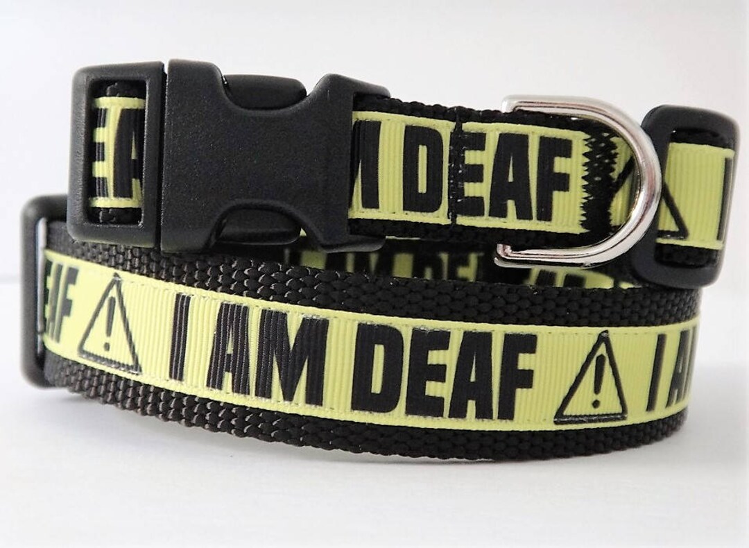 Dog Collar Deaf Dog Collar I Am Deaf Dog Collar Special Needs Dog Collar Large Dog Collar Small