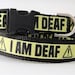 see more listings in the Dog Collars & Leashes section