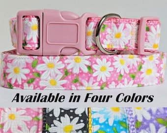 Girl Dog Collar and (optional) Leash- Pretty Fabric Dog Collar with Big White Daisies -Purple, Pink, Blue or Black Small or Large Dog Collar