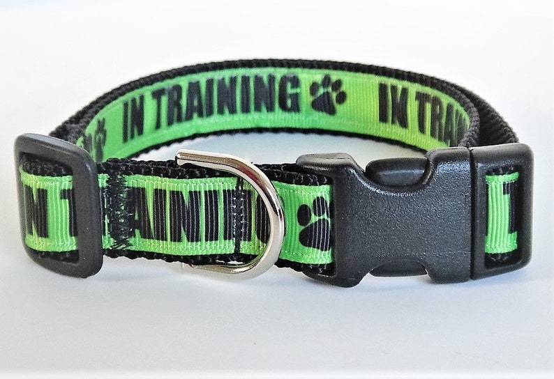 Dog Collar Service Dog In Training / Therapy Dog Collar Etsy