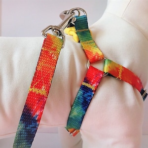 Step-in Dog Harness and (optional) Leash - Tie Dye Dog Harness - Boy Dog Harness or Girl Dog Harness- Dog Collar Alternative