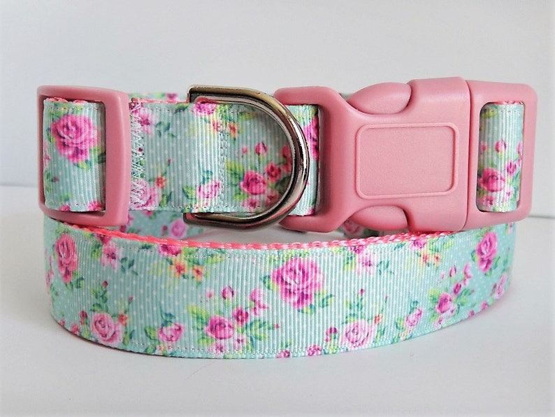 Dog Collar and optional Leash Set Girl Dog Collar Aqua Etsy