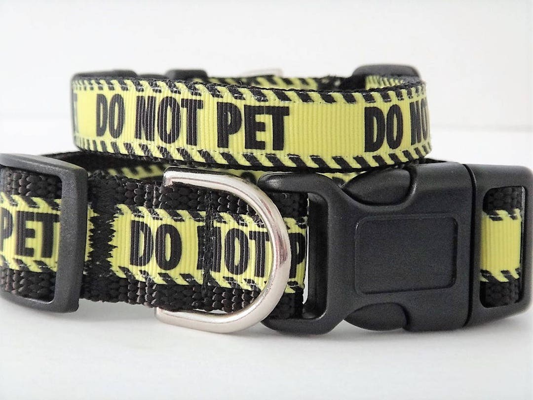Dog Collar Aggressive Dog Collar Do Not Pet Dog Collar Etsy