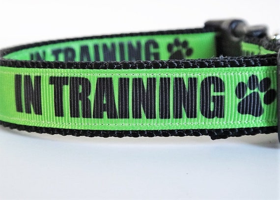 therapy dog collar
