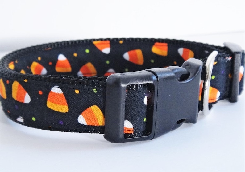 May include: Black dog collar with a candy corn pattern. The collar has a black plastic buckle and a silver metal D-ring.