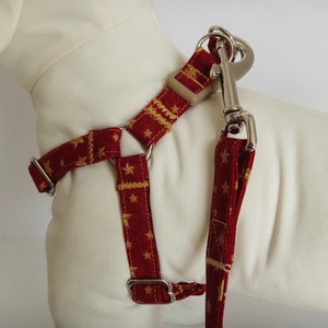 Dog Harness and (optional) Leash - Fabric Step-in Dog Harness - Red Harness with Stars - Boy Dog Harness - Dog Collar Alternative