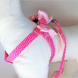 Dog Harness and (optional) Leash - Fabric Step-in Dog Harness - Girly Dog Harness - Pink and White Polka Dot Harness