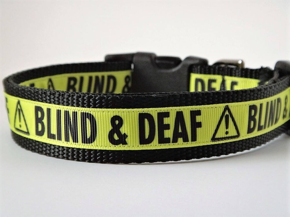 Dog Collar Deaf and Blind Dog Collar Special Needs Dog Etsy