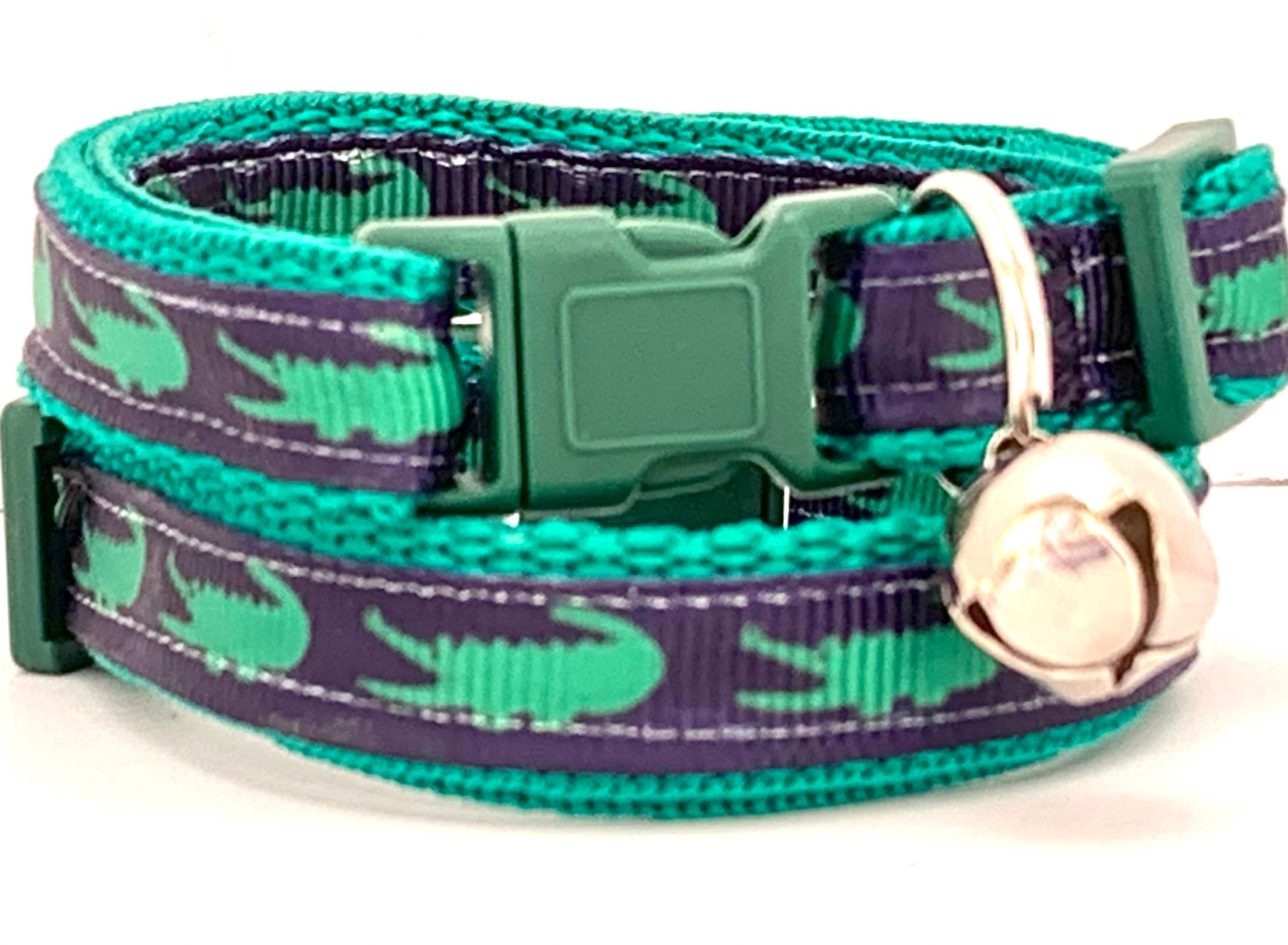 Kitten Hates Collar Bell edu.svet.gob.gt