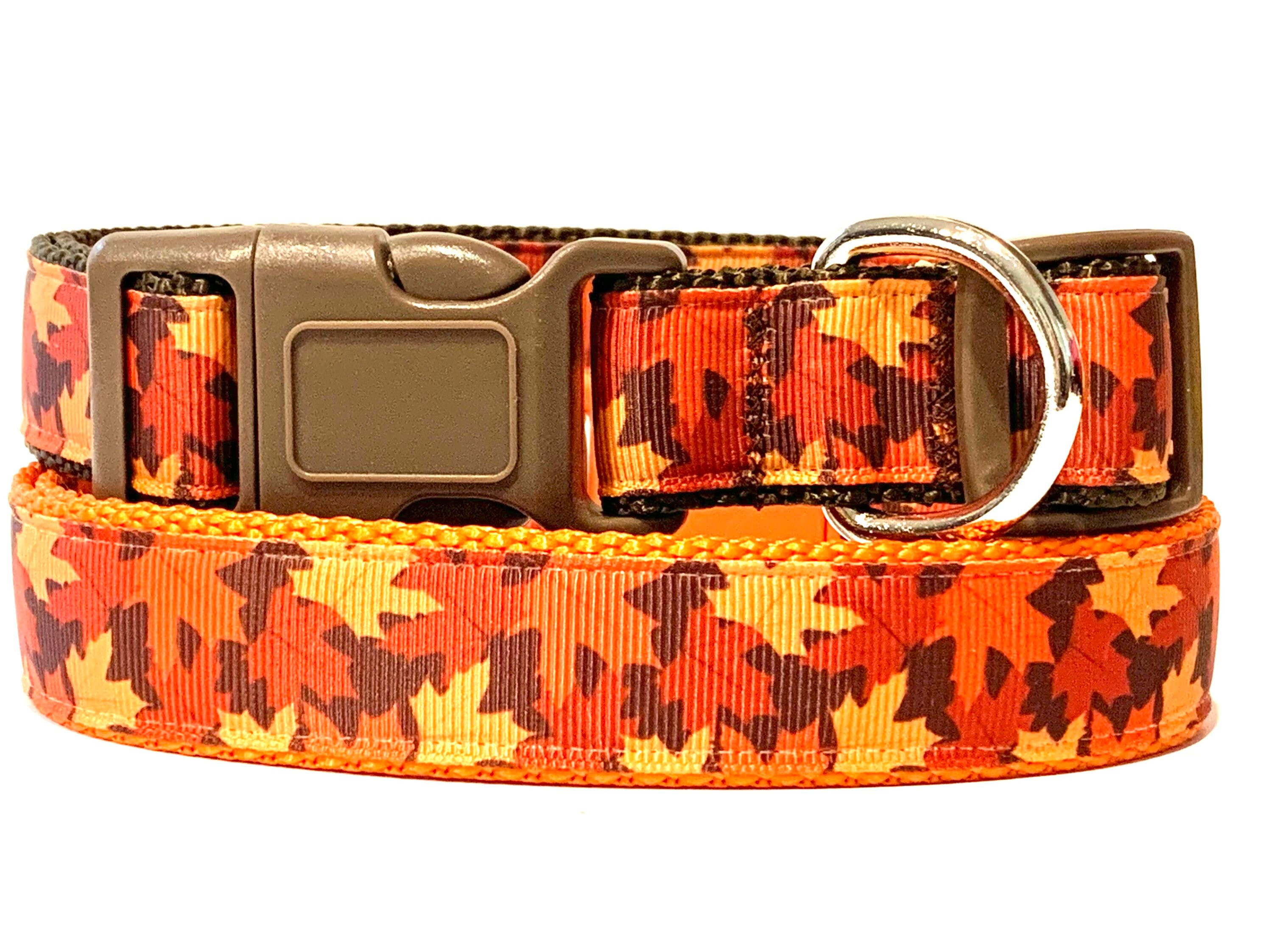 The Unbeleafable Dog Leash | Fall & Autumn Inspired Dog Leash Small